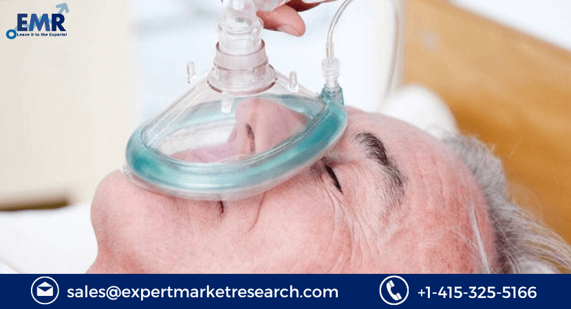 Oxygen Therapy Market Share
